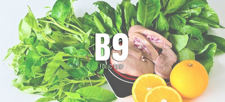 Vitamín B9 - Kyselina listová